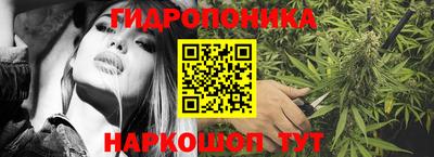 стафф Пенза